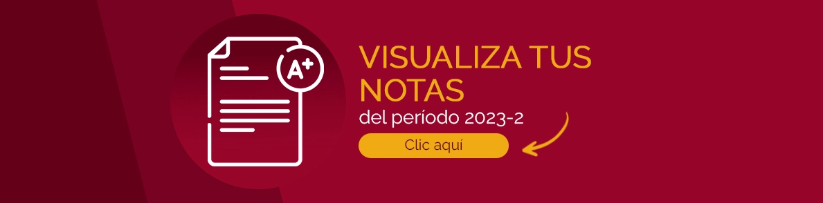 VER CALIFICACION